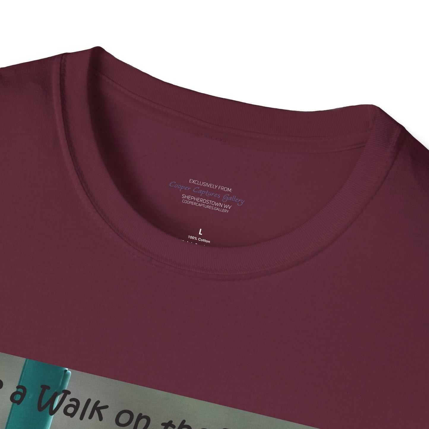 Bluebirds looking at real estate - T-shirt