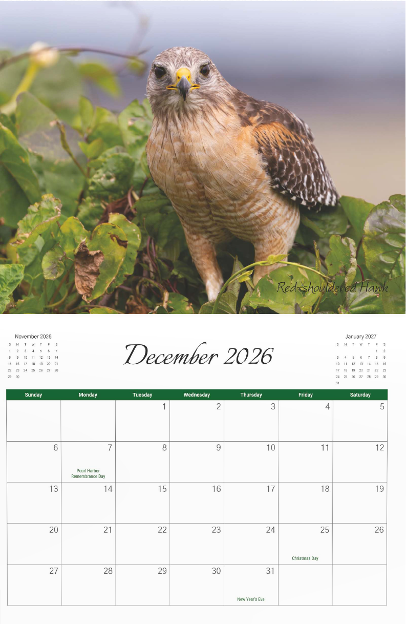 2026 Bird Calendar