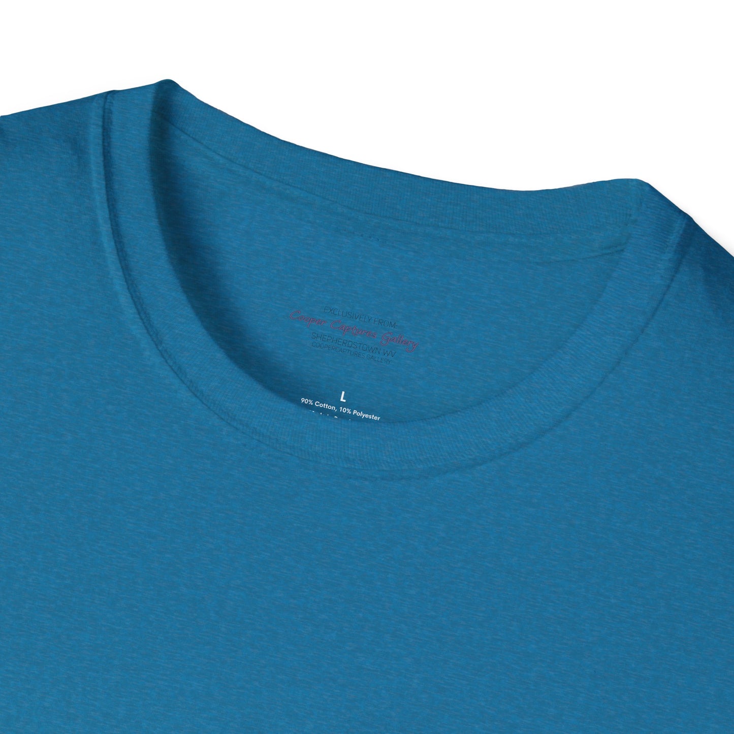 American Bald Eagle in flight - T-shirt