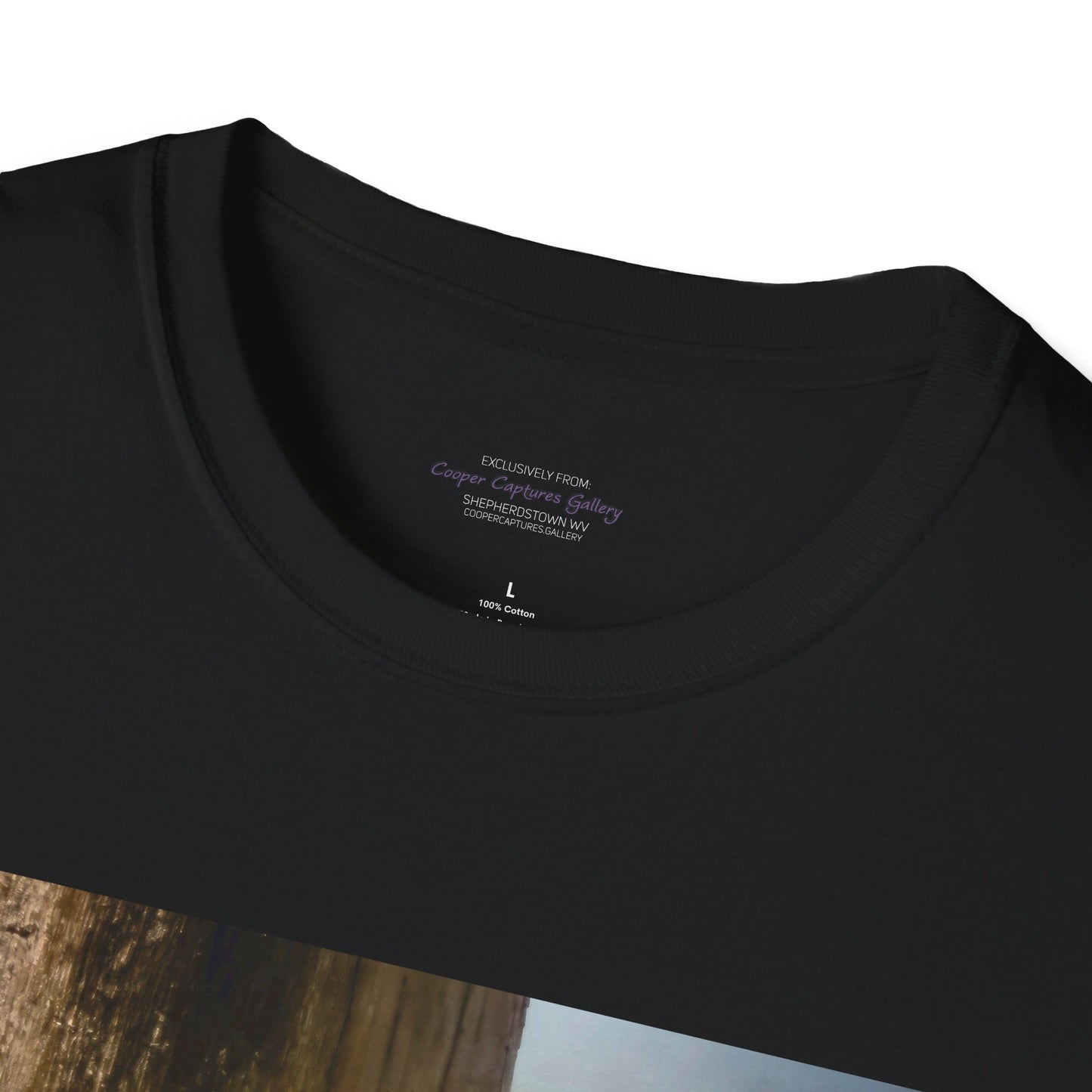 Red-headed woodpecker - T-Shirt