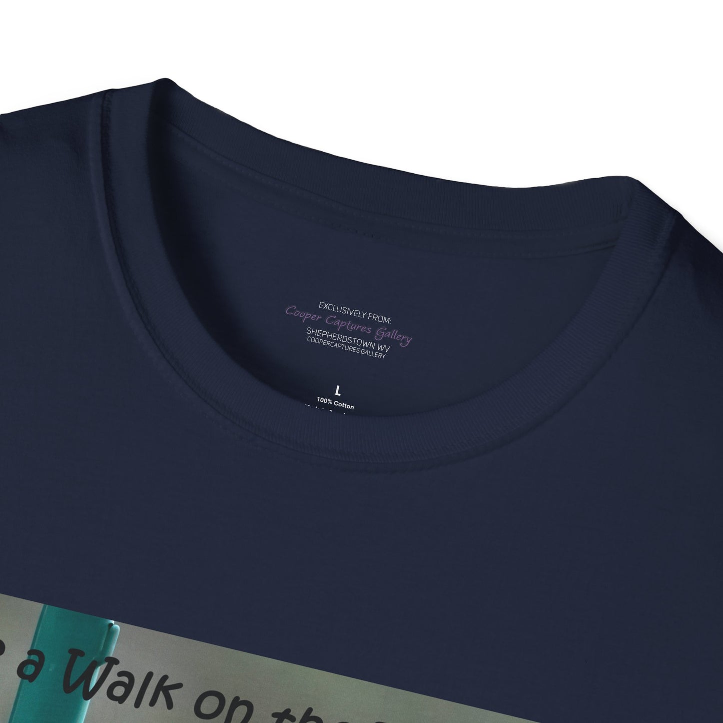 Bluebirds looking at real estate - T-shirt