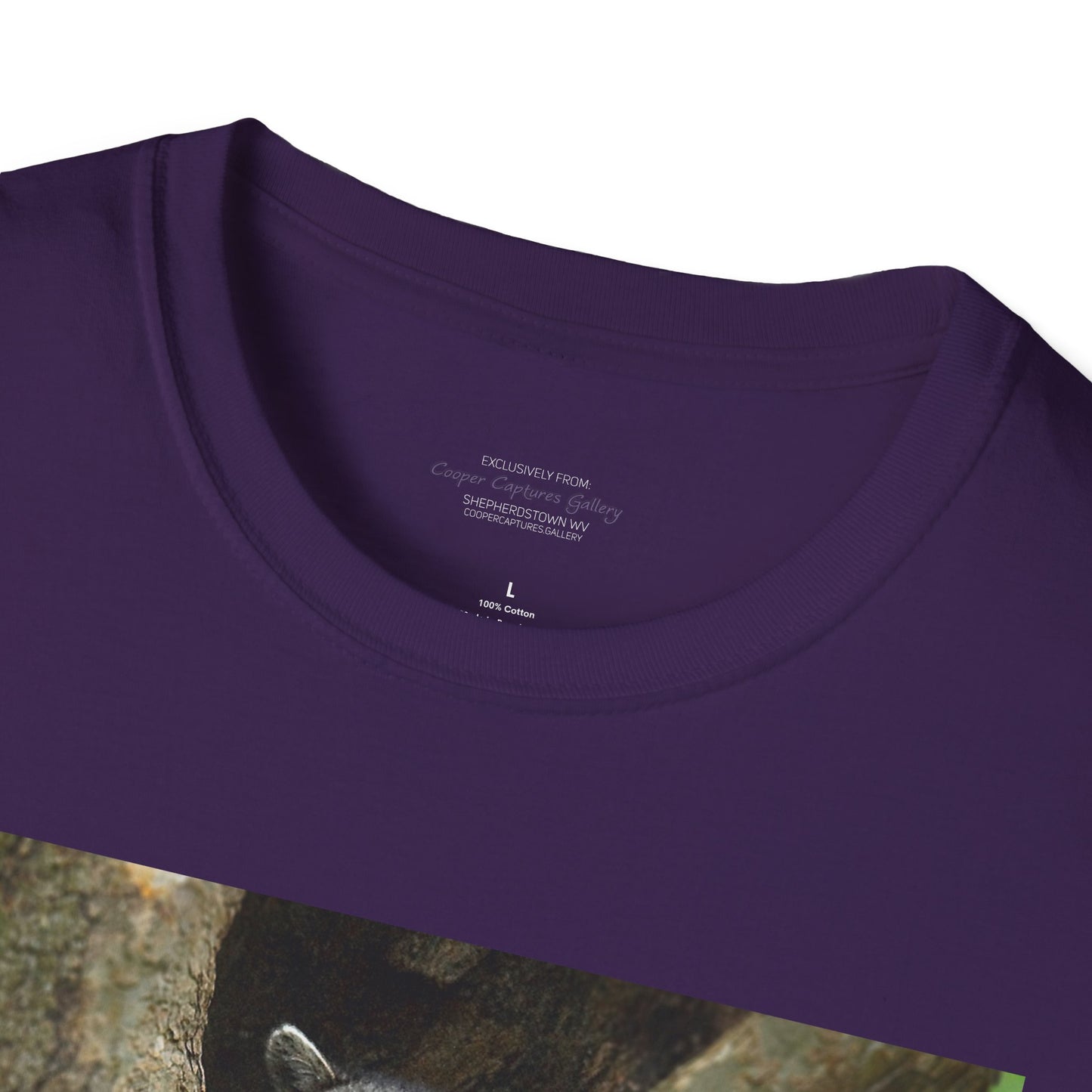Playful raccoon in a tree hole with "Private Property" sign - T-shirt