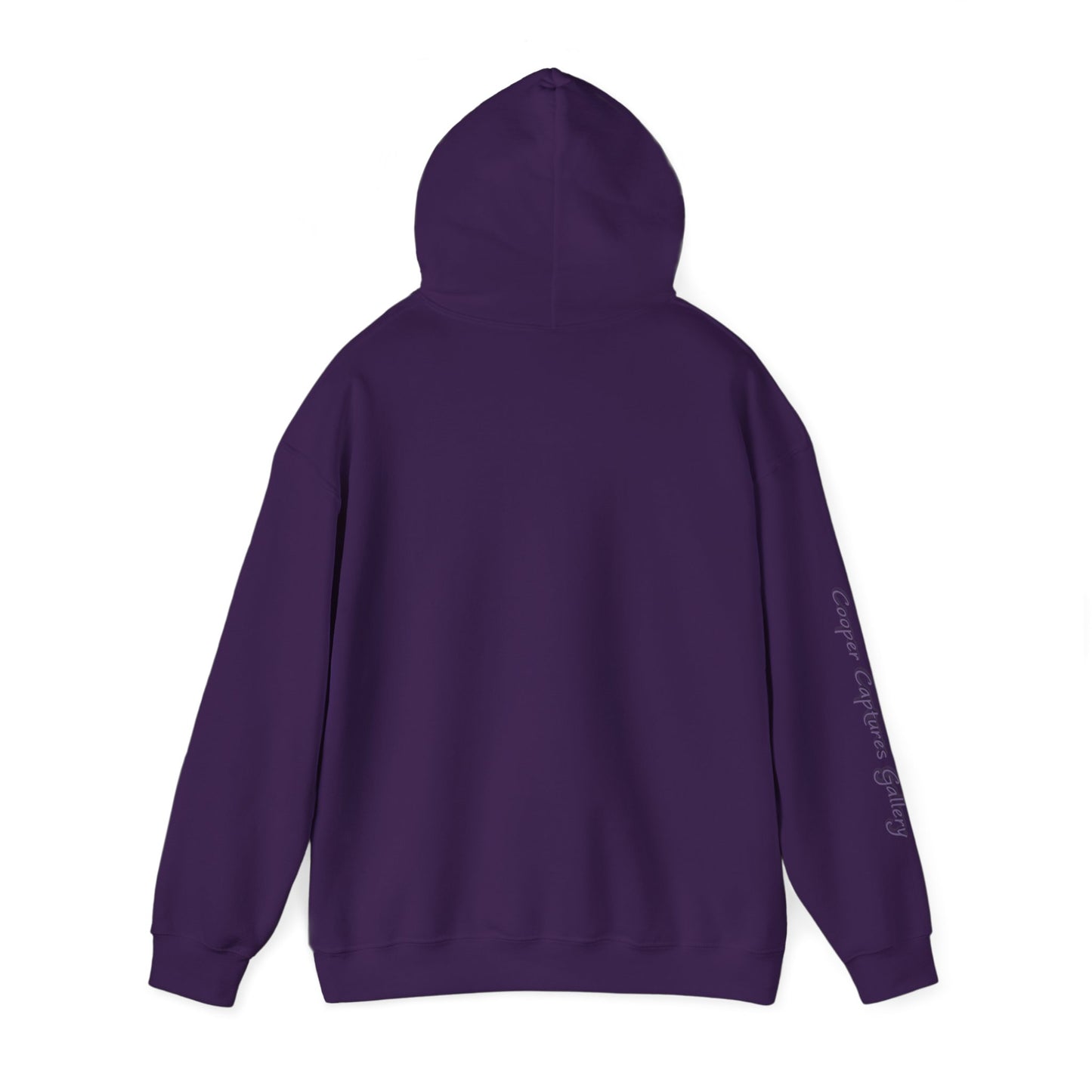 Cardinal Pair in winter on Unisex Heavy Blend™ Hooded Sweatshirt