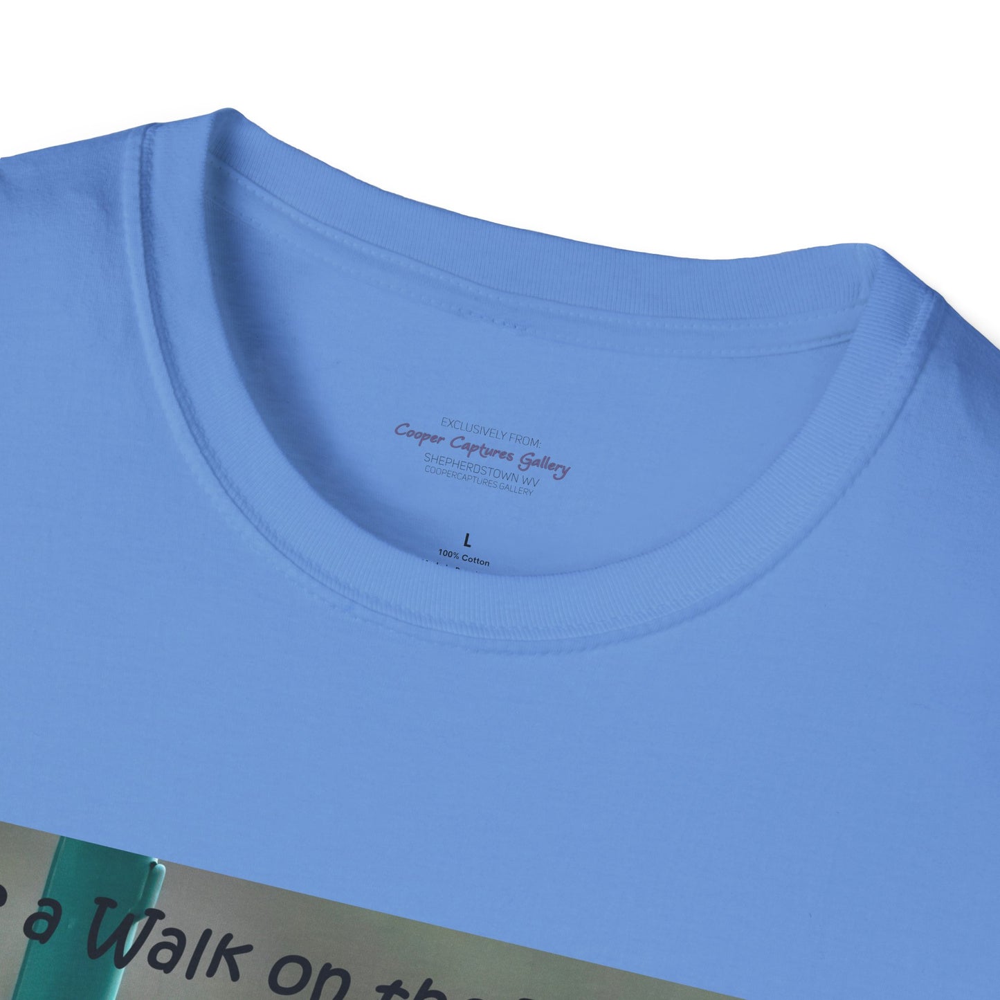 Bluebirds looking at real estate - T-shirt