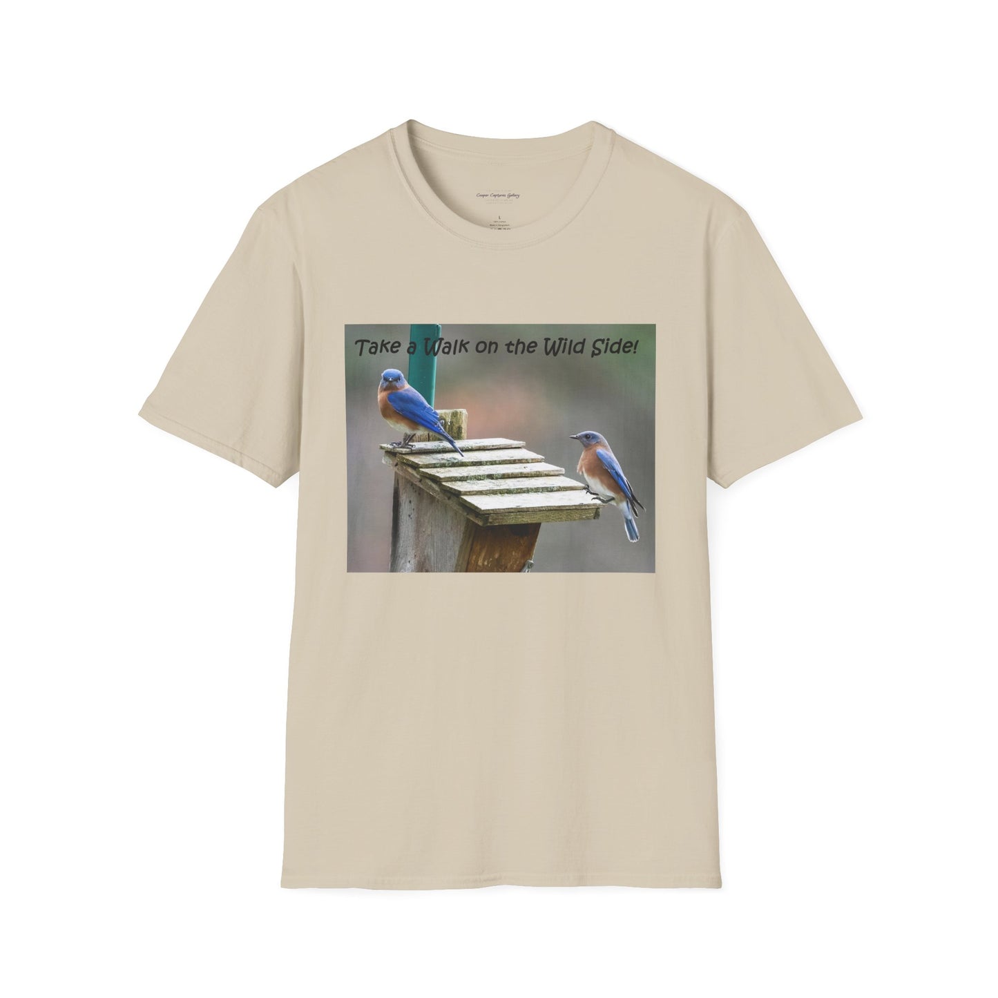 Bluebirds looking at real estate - T-shirt