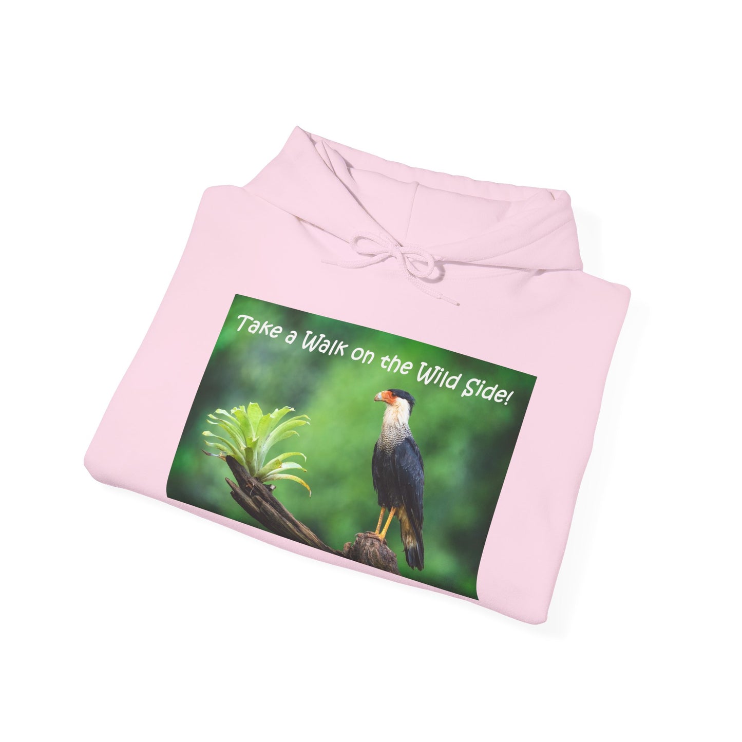 Costa Rican Crested Caracara - Heavy Blend™ Hooded Sweatshirt