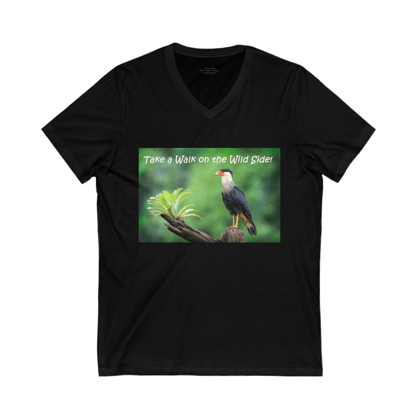 Costa Rican Caracara in full display - V-Neck Tee-Shirt
