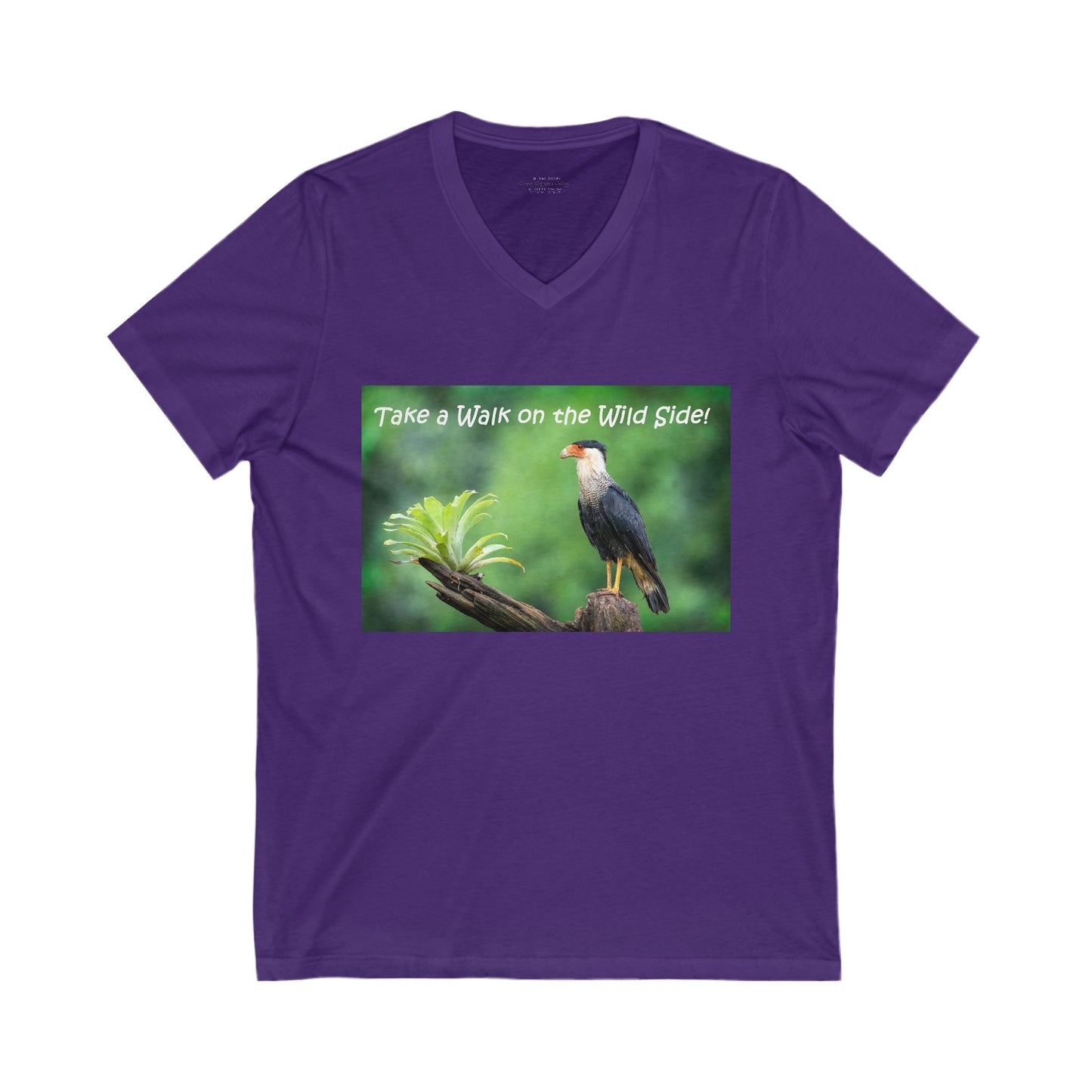 Costa Rican Caracara in full display - V-Neck Tee-Shirt