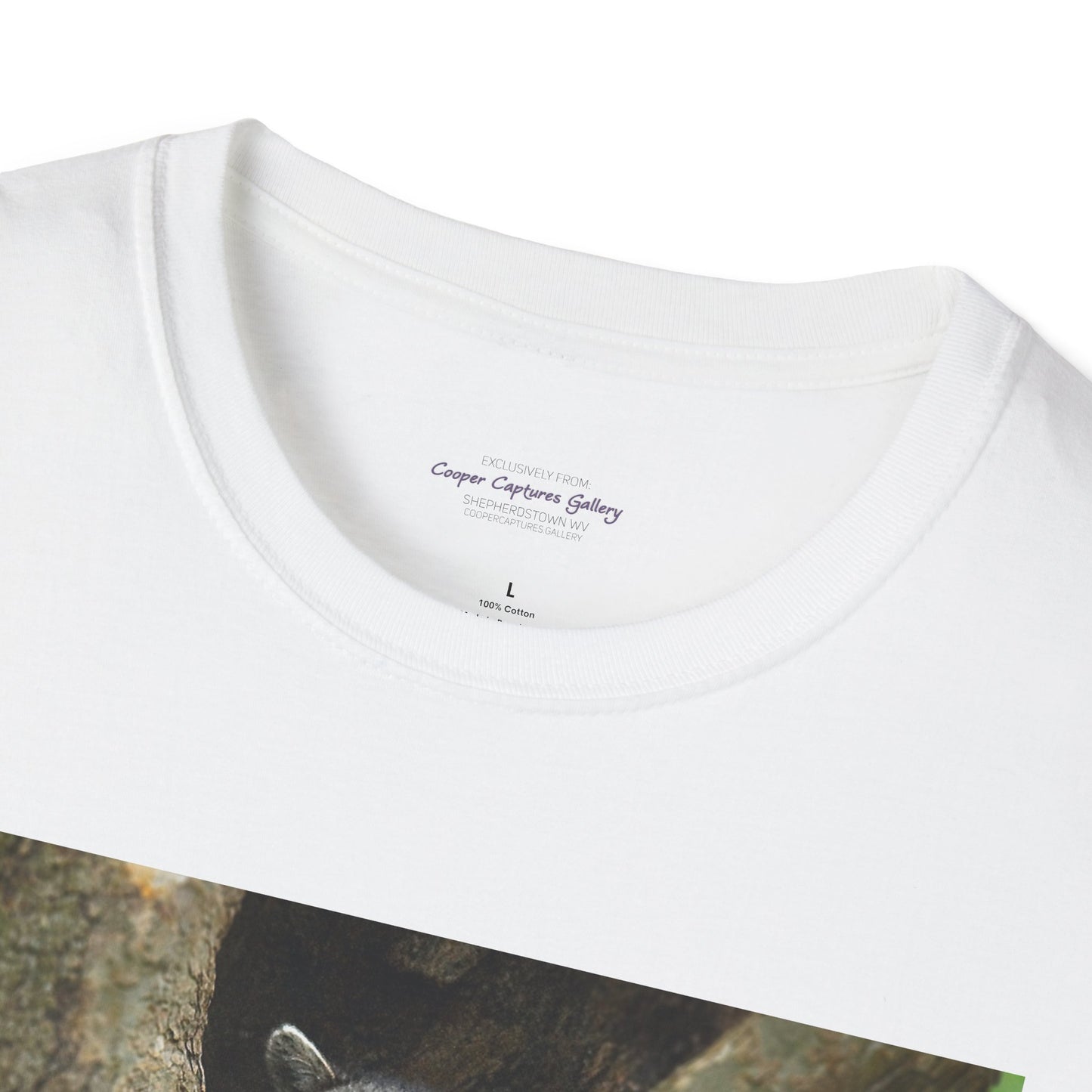 Playful raccoon in a tree hole with "Private Property" sign - T-shirt
