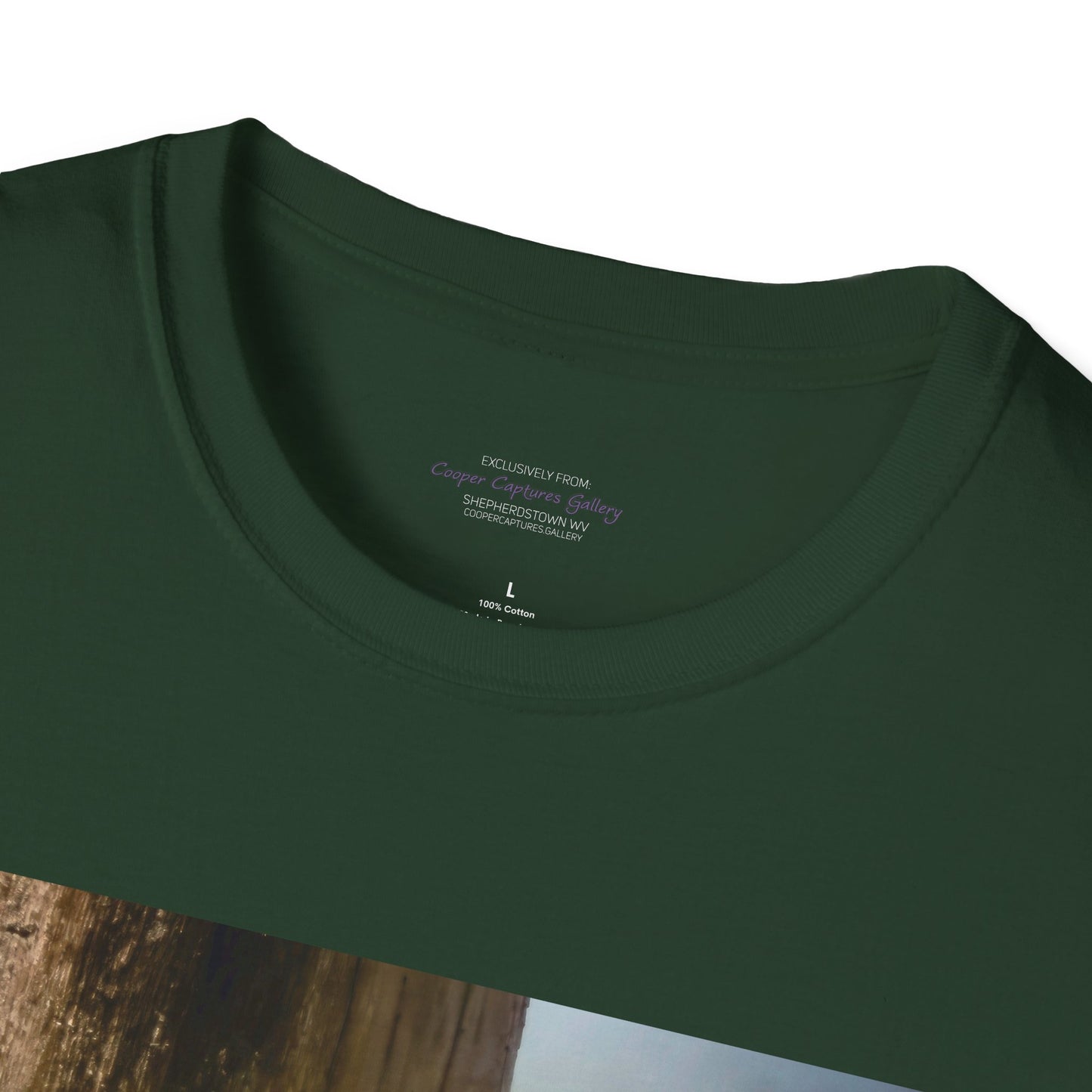 Red-headed woodpecker - T-Shirt