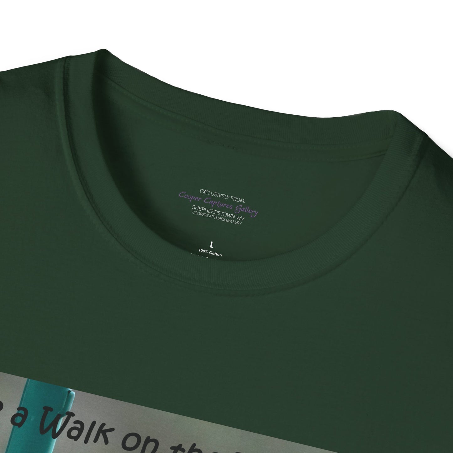 Bluebirds looking at real estate - T-shirt