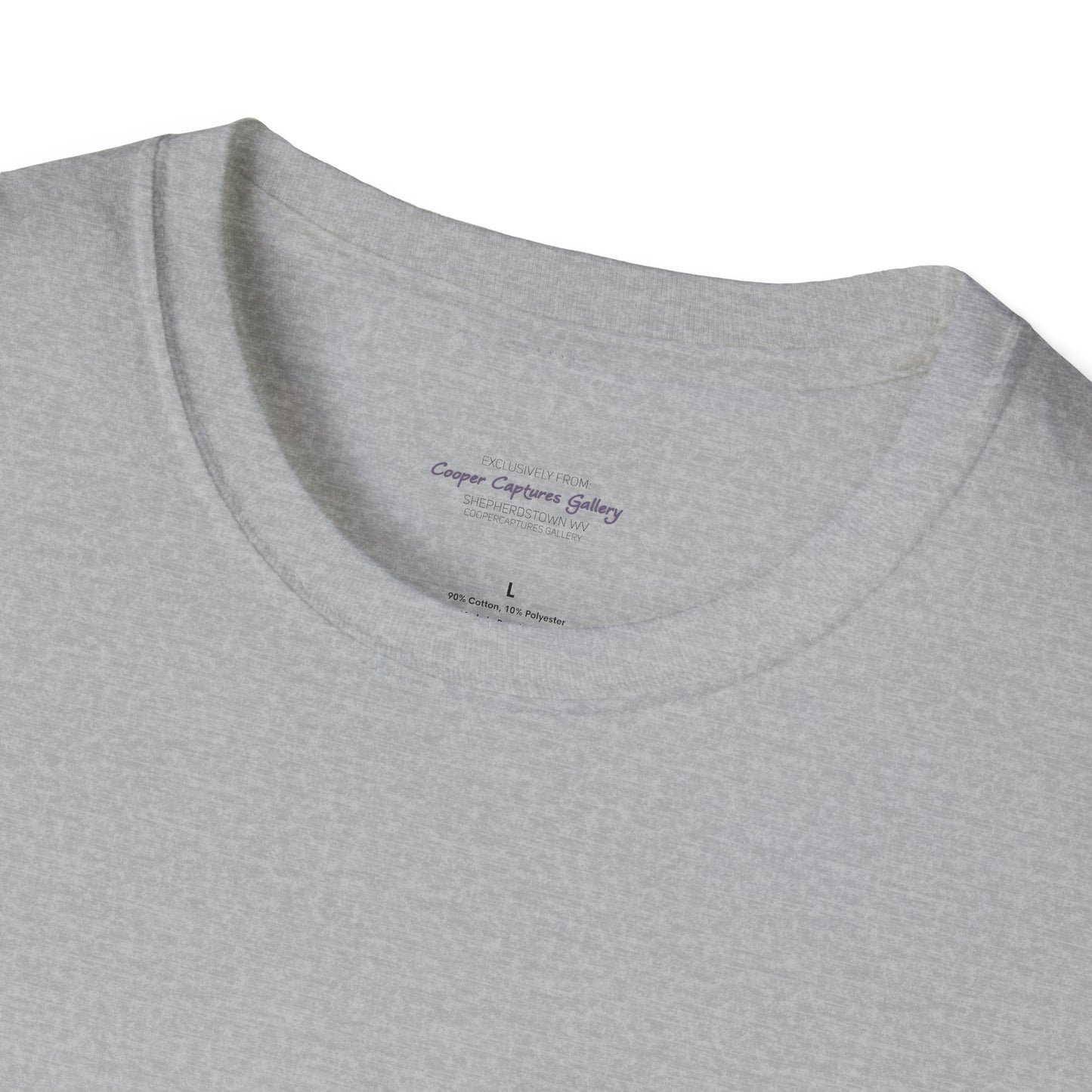 American Bald Eagle in flight - T-shirt