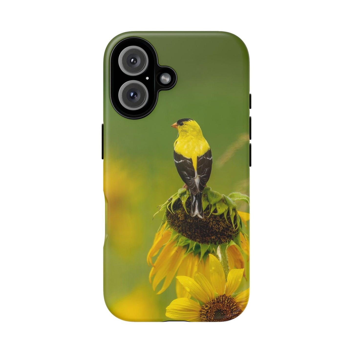 Goldfinch – Tough Phone Case