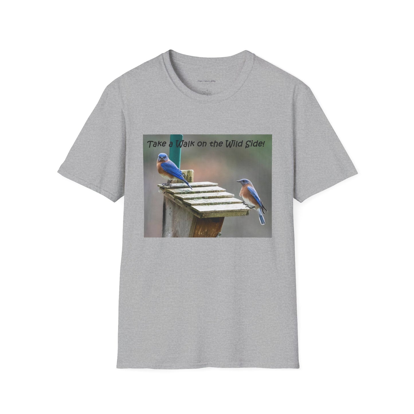Bluebirds looking at real estate - T-shirt