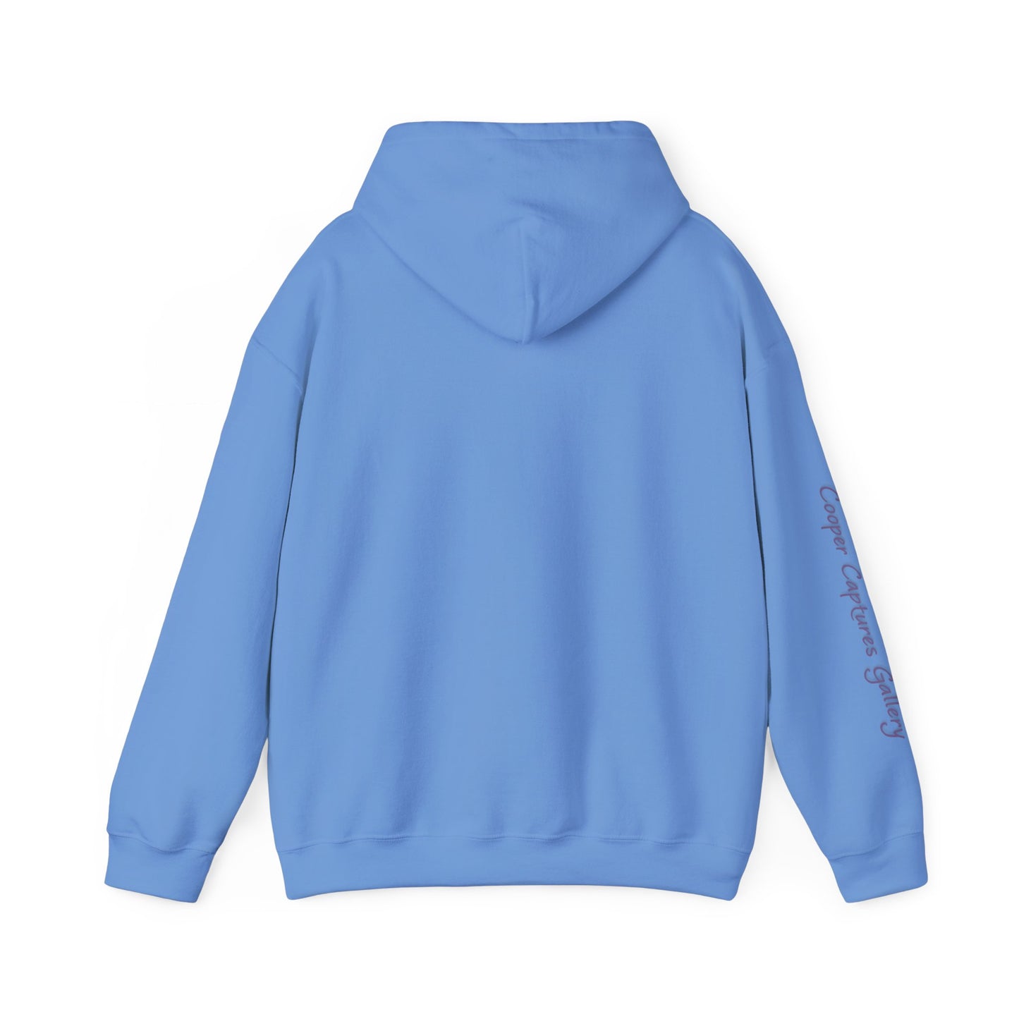 Cardinal Pair in winter on Unisex Heavy Blend™ Hooded Sweatshirt