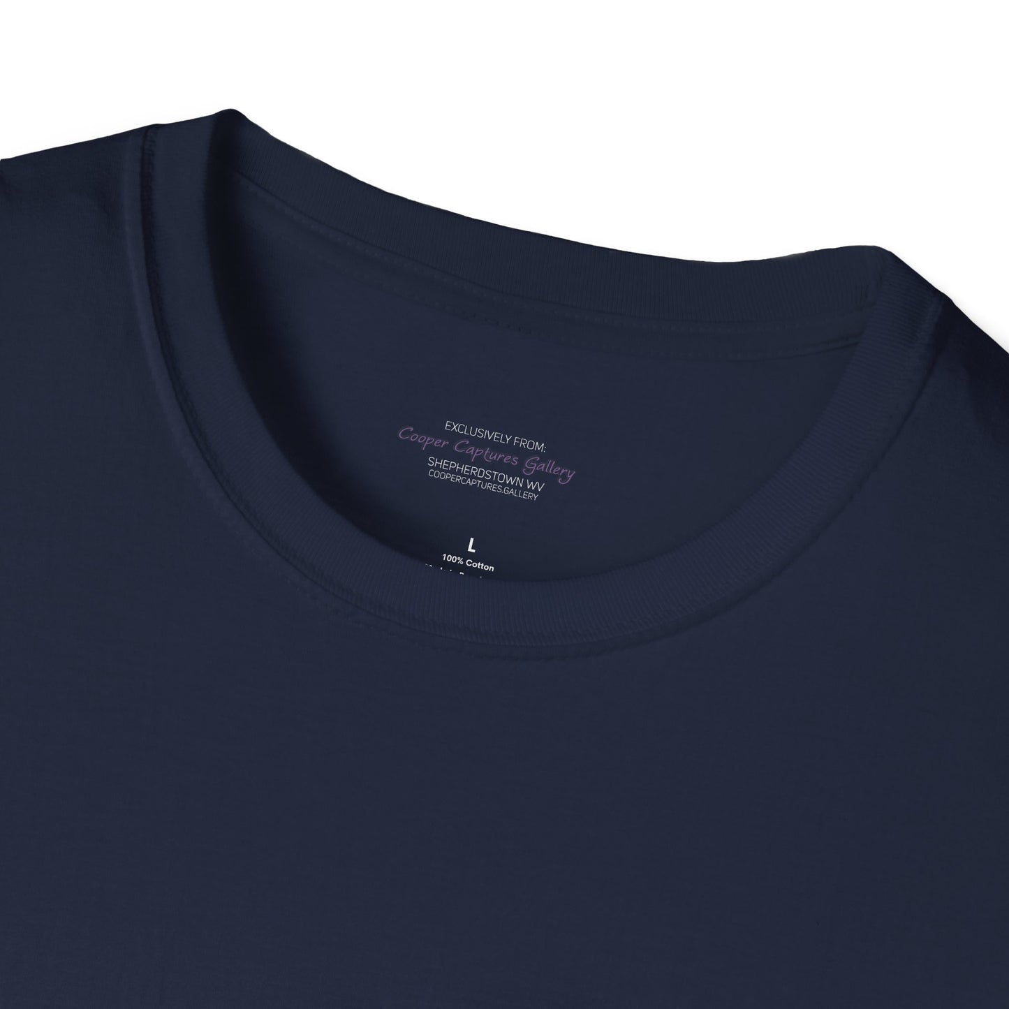 American Bald Eagle in flight - T-shirt