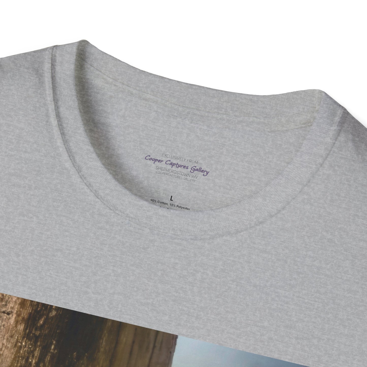 Red-headed woodpecker - T-Shirt
