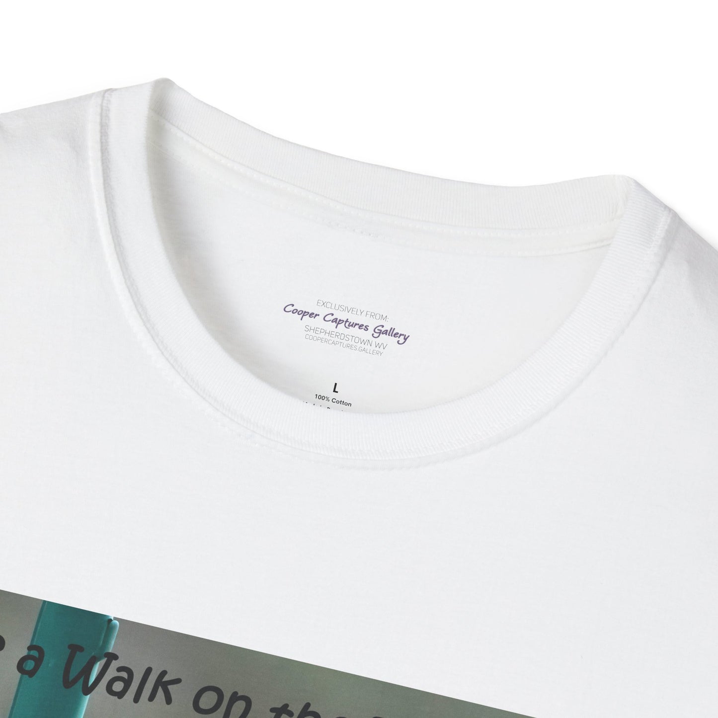 Bluebirds looking at real estate - T-shirt