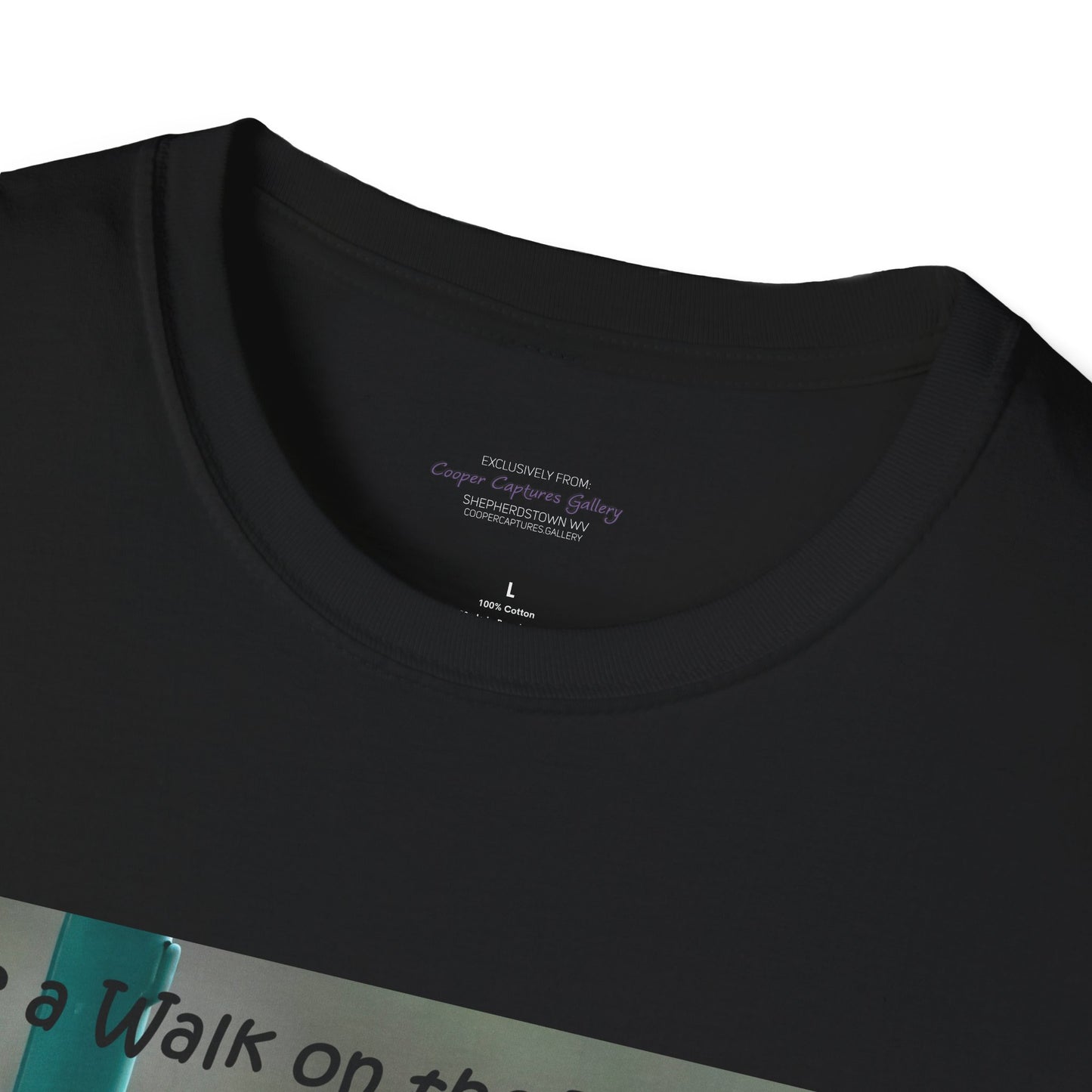 Bluebirds looking at real estate - T-shirt