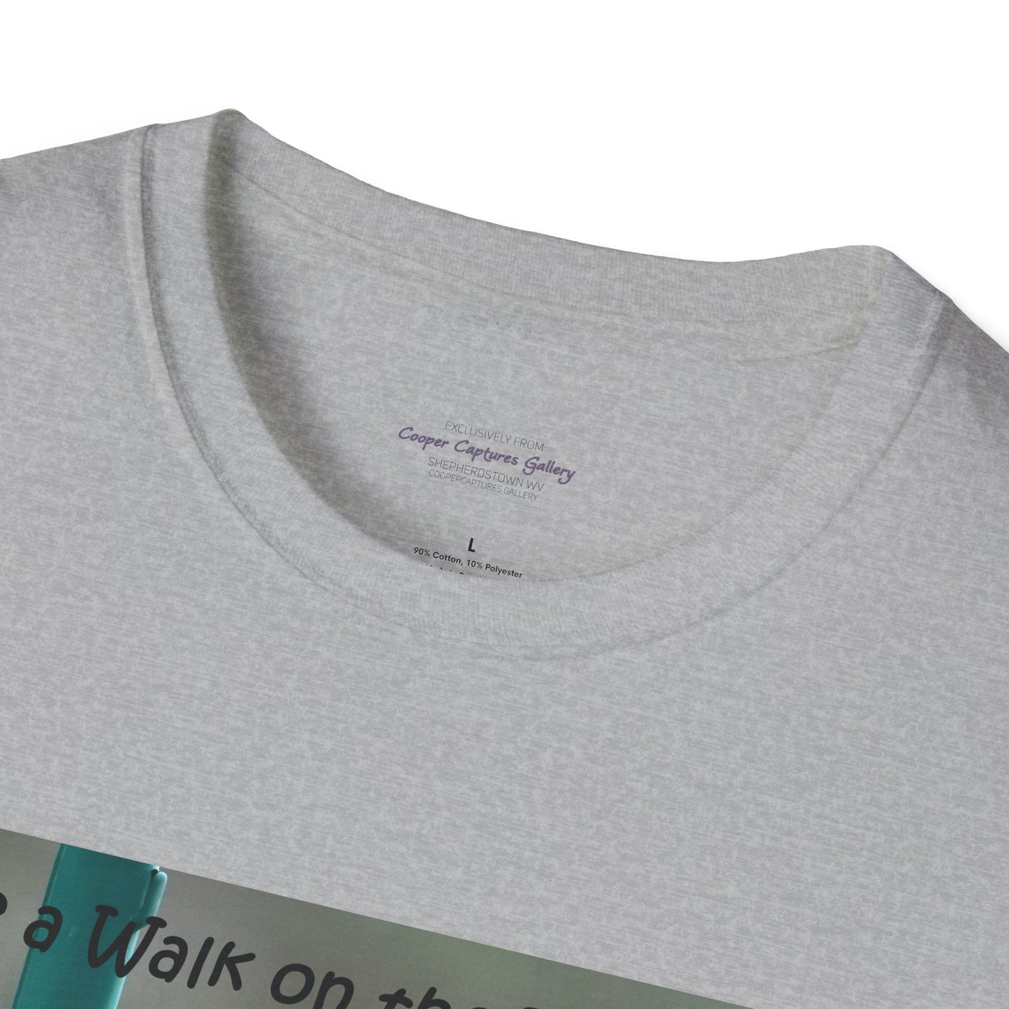 Bluebirds looking at real estate - T-shirt