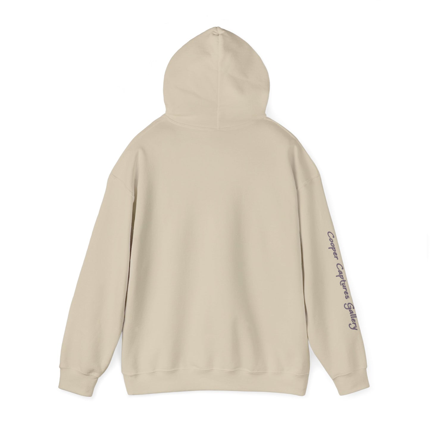 American Bald Eagle in Flight - Heavy Blend™ Hooded Sweatshirt