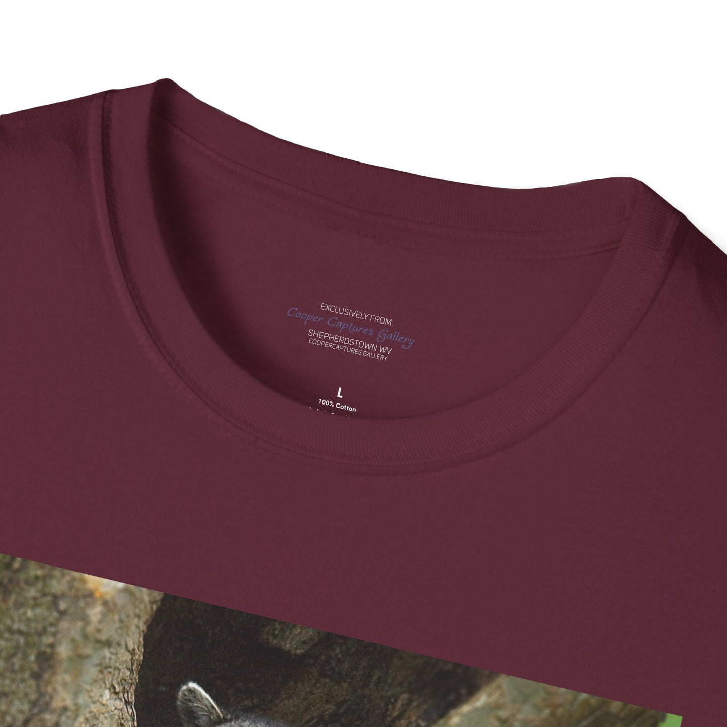 Playful raccoon in a tree hole with "Private Property" sign - T-shirt