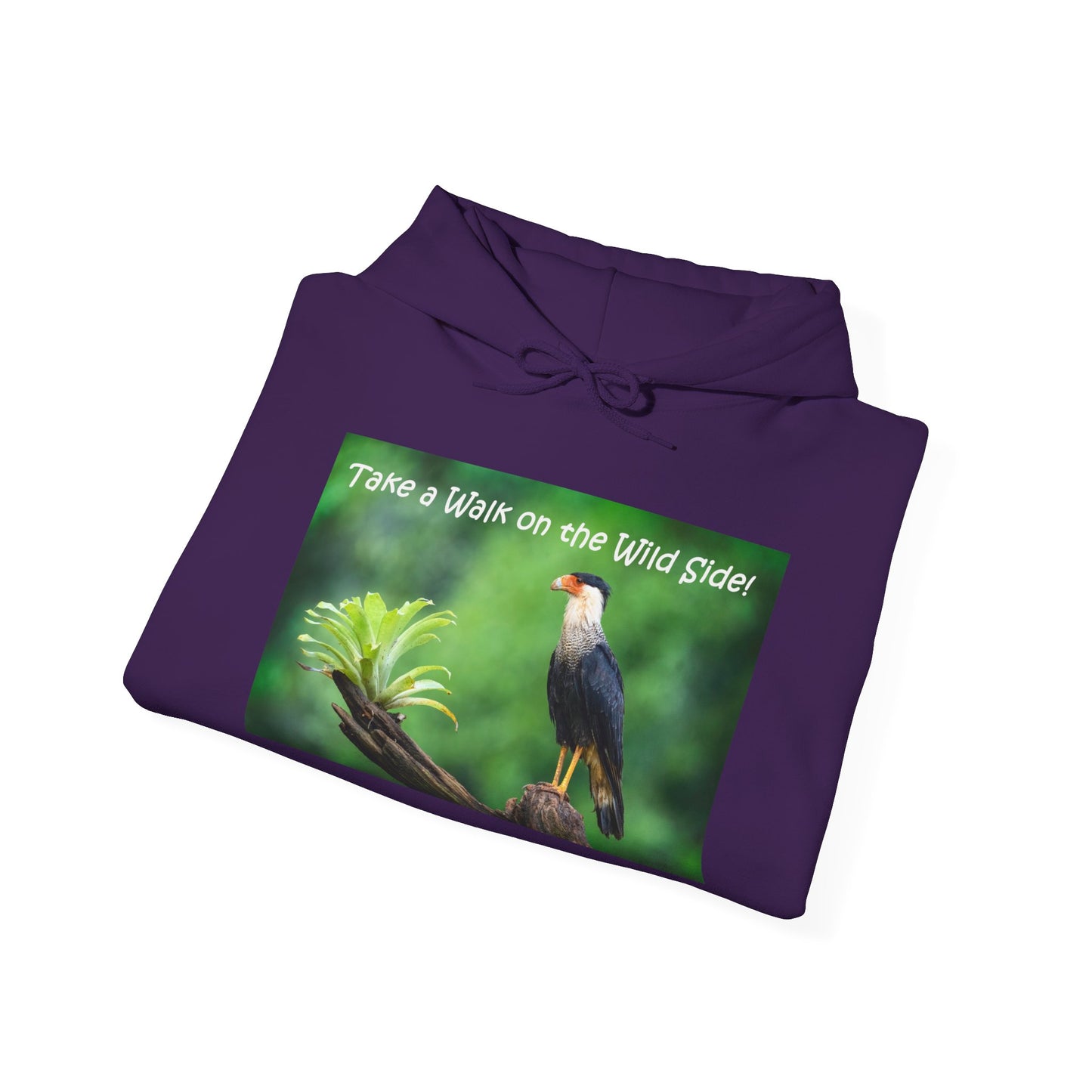 Costa Rican Crested Caracara - Heavy Blend™ Hooded Sweatshirt