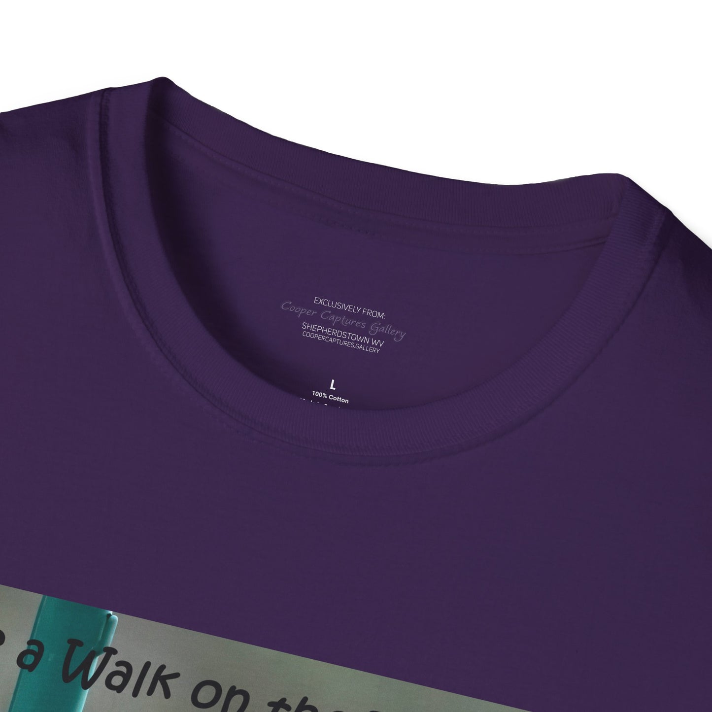 Bluebirds looking at real estate - T-shirt