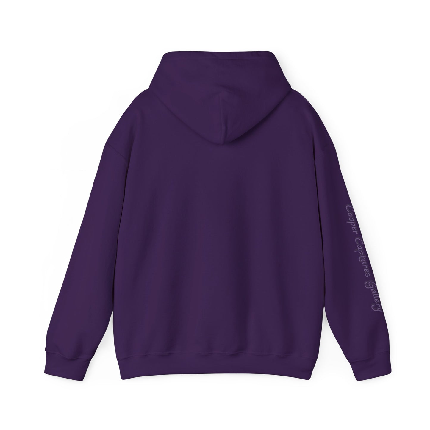 Cardinal Pair in winter on Unisex Heavy Blend™ Hooded Sweatshirt