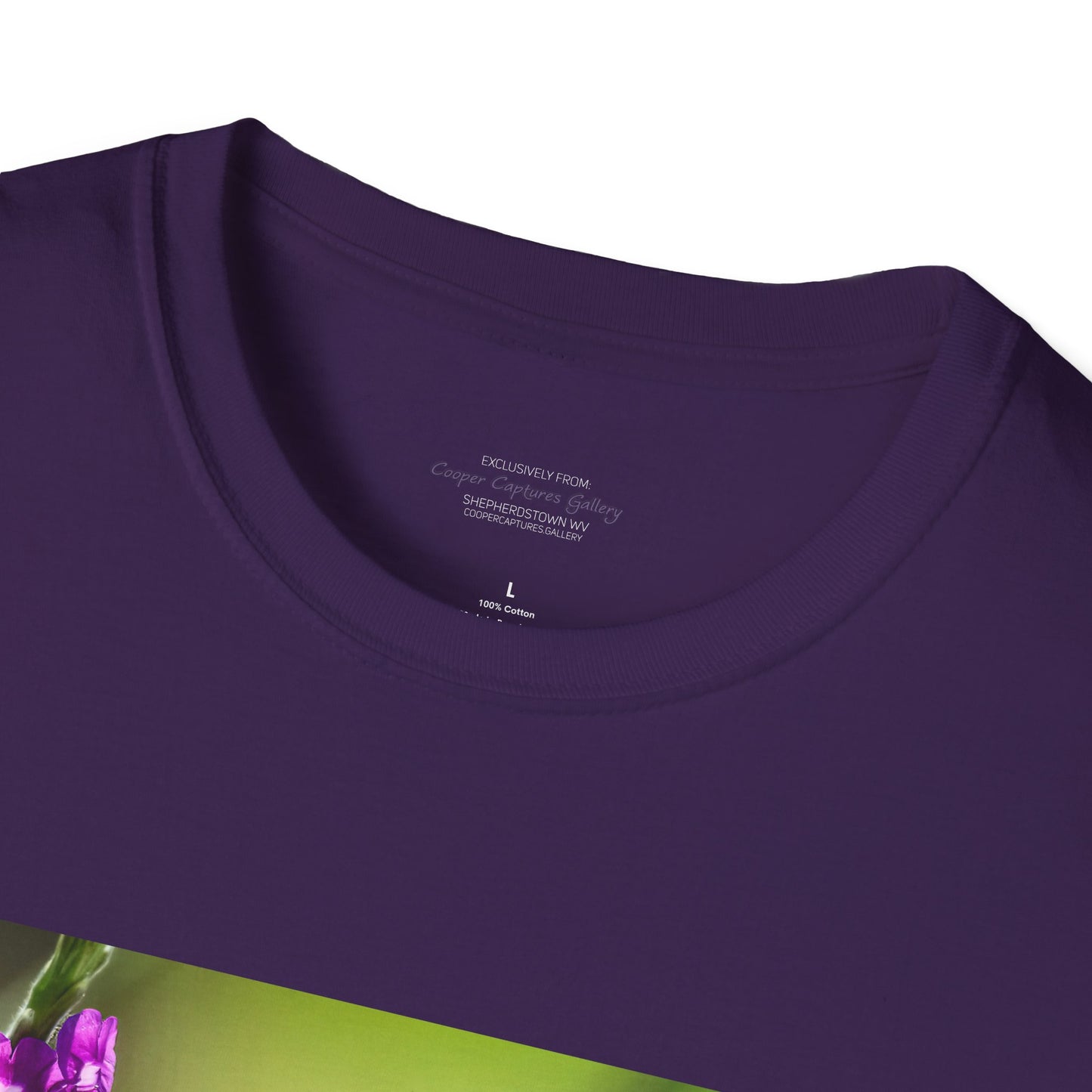 Costa Rican Rufous-tailed hummingbird in flight - T-shirt