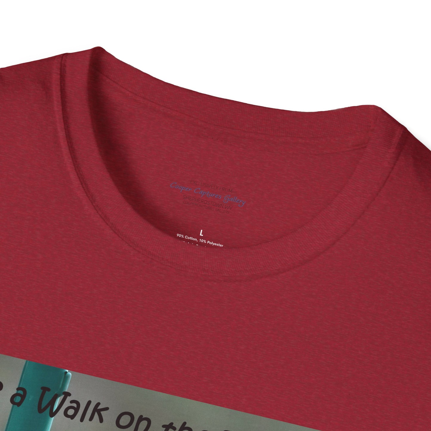 Bluebirds looking at real estate - T-shirt
