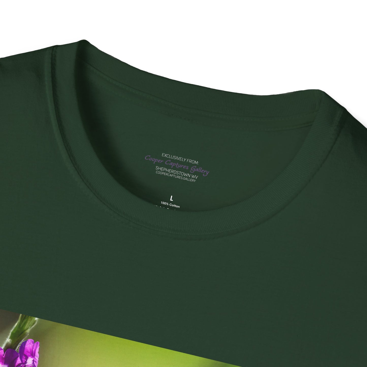 Costa Rican Rufous-tailed hummingbird in flight - T-shirt