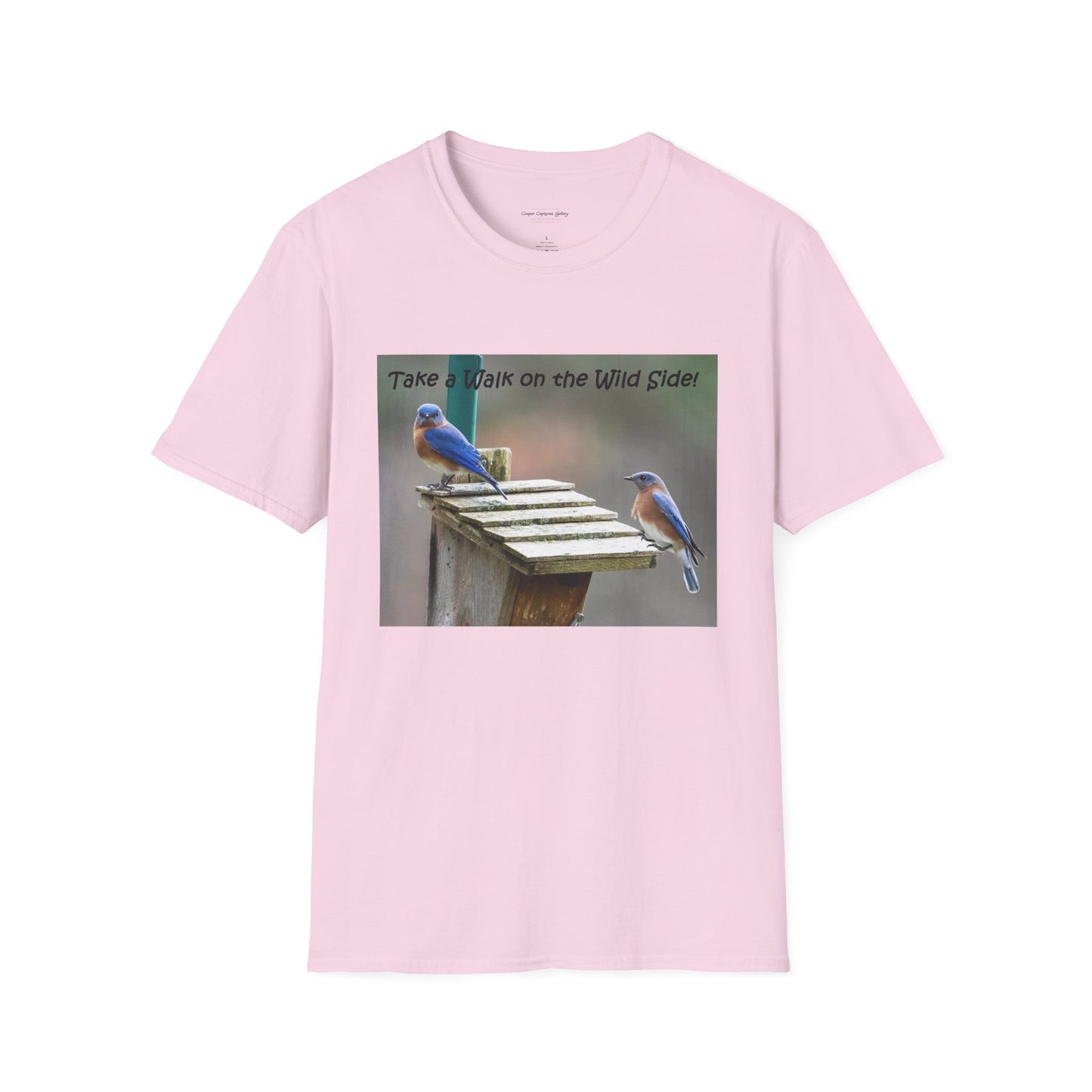 Bluebirds looking at real estate - T-shirt