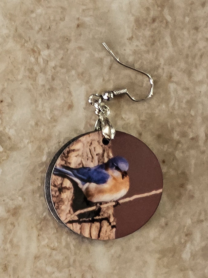 Earrings, bluebird