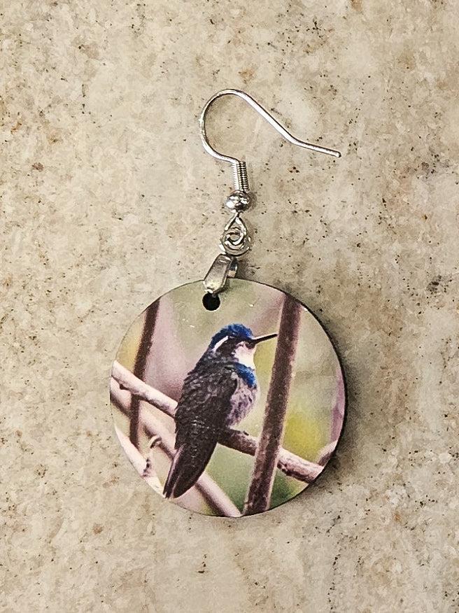 Earrings, hummingbird