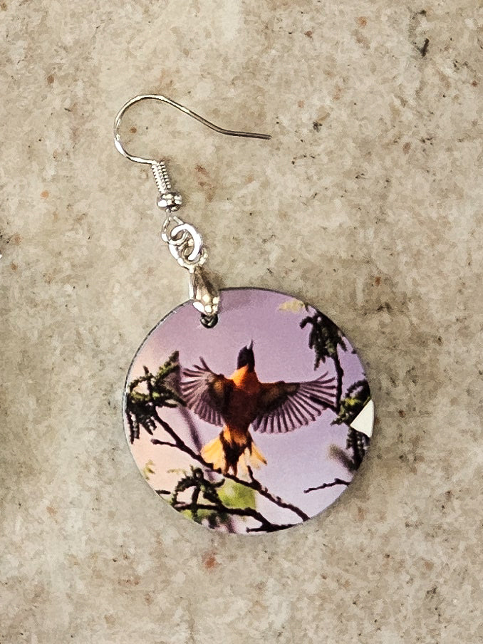 Earrings, Baltimore Oriole